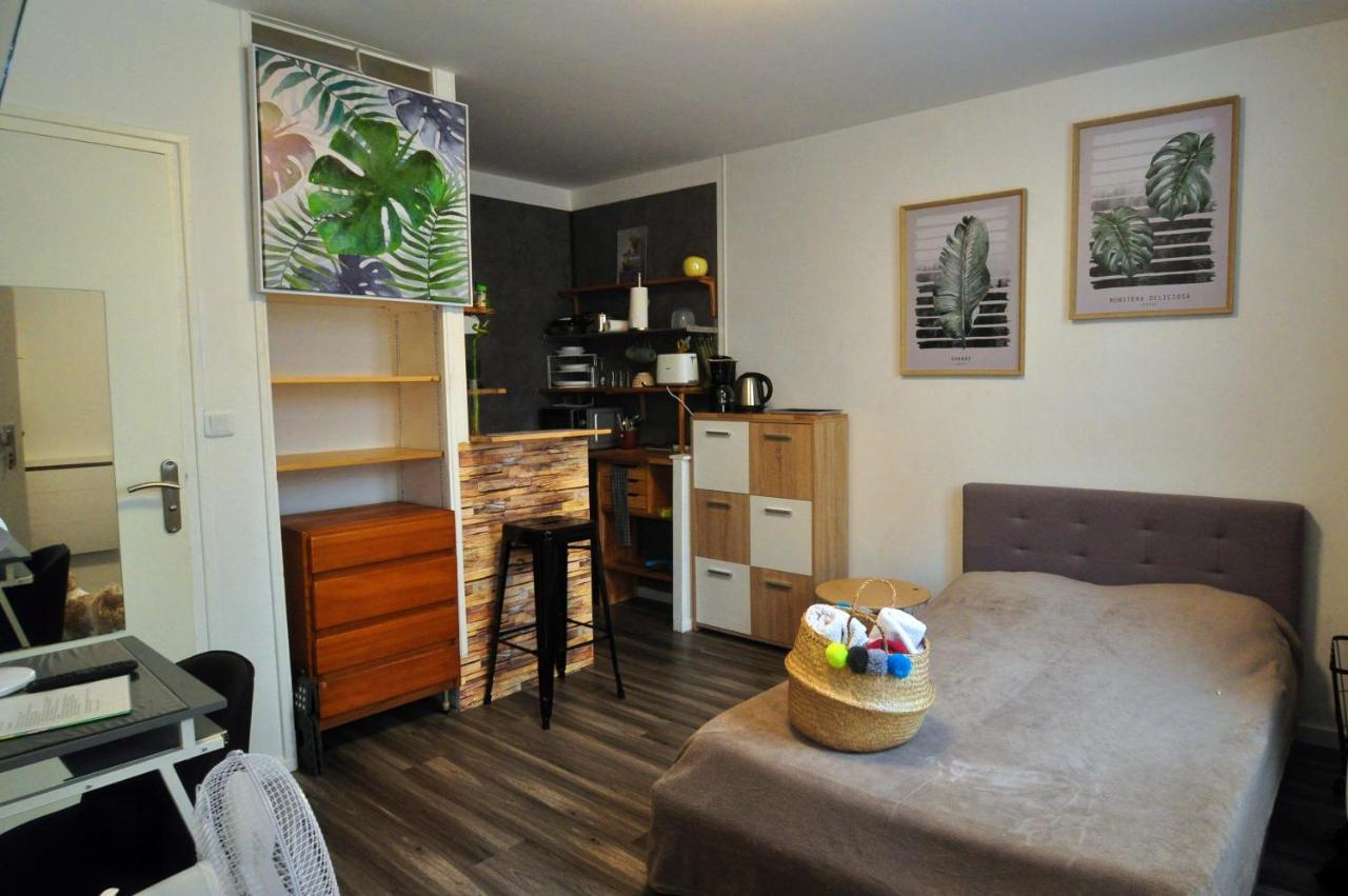 Beaublache Residence Studios Meubles Grenoble Exteriér fotografie